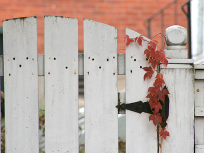 It`s cold and raining, so this was shot from the car.
