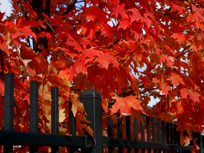 I stood and waited for a break in the clouds.