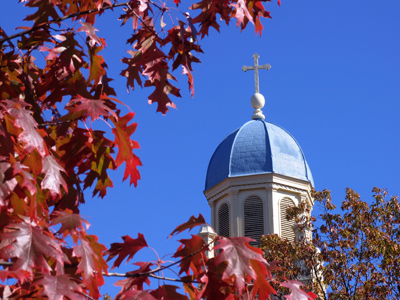 I told you there would be more color to come.