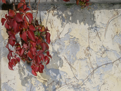 This space available.