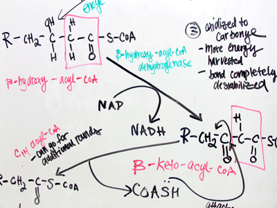 Oh that`s simple.  Give me a hard one.