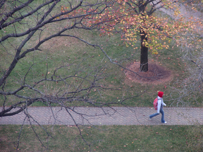 Little Red Riding Hoodie.