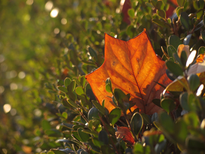 It`s lights out at about 5:18pm.