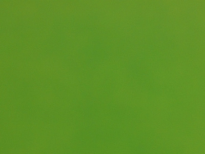 Or I could stay inside where it was warm and take mediocre pictures that I didn`t care about.