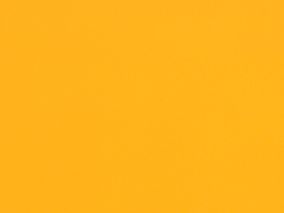 I assume you can see for yourself which option I chose.