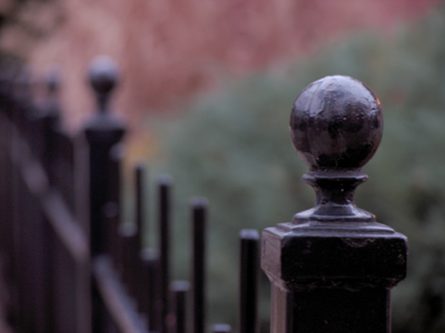 One thing I`ve learned from taking pictures every day is how to make something out of nothing.