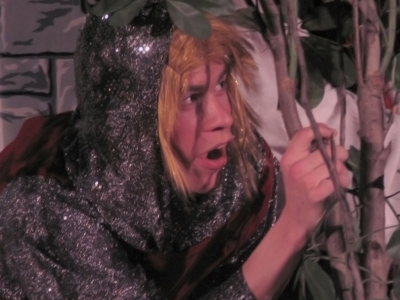 What Sir Andrew overheard.