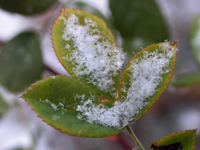 And it`s another two weeks before winter even begins.