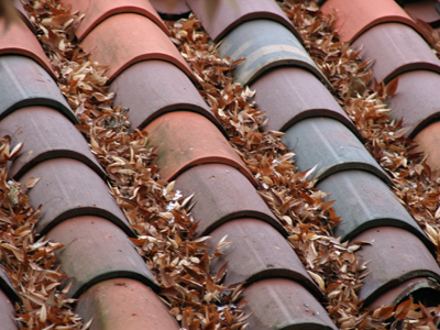 End of season clearance.