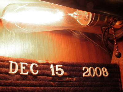 In case you`ve lost count, I`ve taken photos for 1665 days in a row.