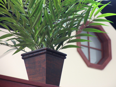 On a good day, I eat lunch and look through the pictures I`ve taken so far.  Today I took my first photo during lunch.