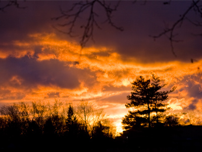 But when called upon, this lens will also shoot big things.