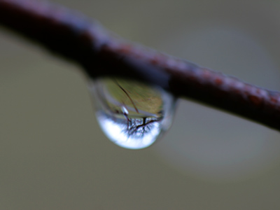 Can you tell I`m detail-oriented?