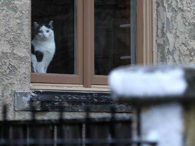 I`m no Doctor Dolittle, but I understand scorn when I see it.