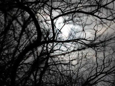 The sun almost came out.