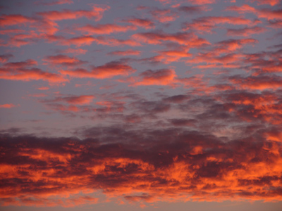 On the way to photo class.