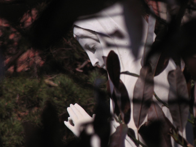 A glimpse through the leaves.