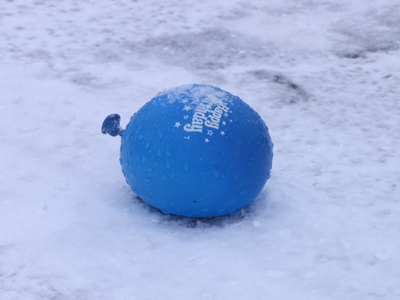 Moments later, it was squished by a car.