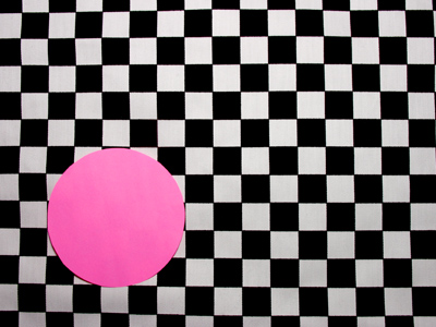 But thanks to a coincidental purchase at the fabric store, I got an idea for a series of pictures.