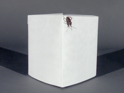 Still working on studio photography exercises, but this time I had an assistant.