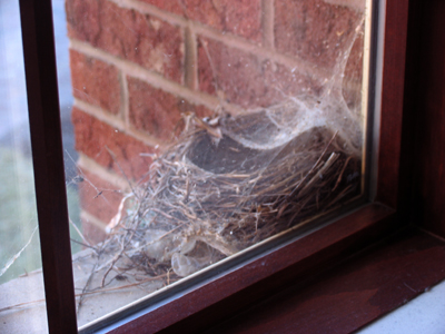 Once foreclosure occurs, a home falls into disrepair, bringing down property values in the neighborhood.