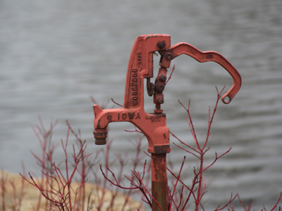 Mediocre pictures taken outdoors in a park are more satisfying than mediocre pictures taken inside where I live or work (such as those from yesterday).