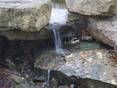 Niagara was too far to drive.