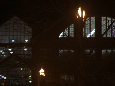 My pictures of apathy are coming closer and closer together.