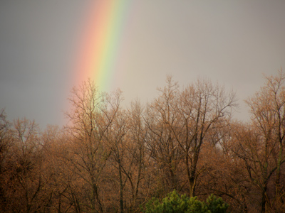  . . . and in the air the birds are winging . . . 