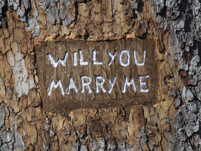 What?  This is all so sudden.  I need some time to think.