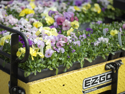 Spring arrived today -- on the back of a yellow flatbed.