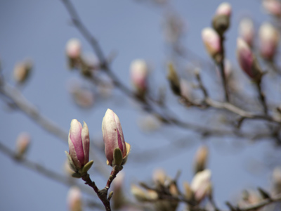 Appreciate them now.  One strong storm and they`re gone.