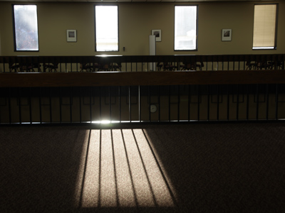 That cardinal is not the only one fascinated by windows.