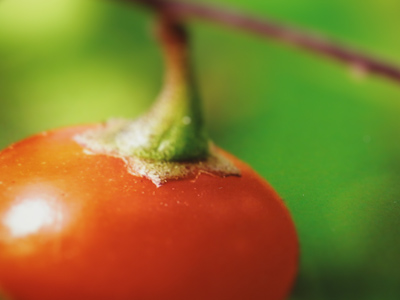 Revisioning July 21, 2004.