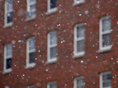 Either winter is making a comeback, or my dandruff shampoo has stopped working.