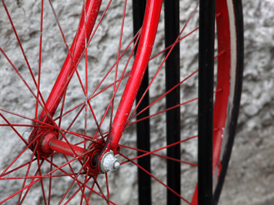 Red and black:  always a good color combination (just ask a black widow).