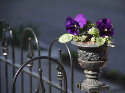 Springtime in the Oregon -- wait, I already said that.