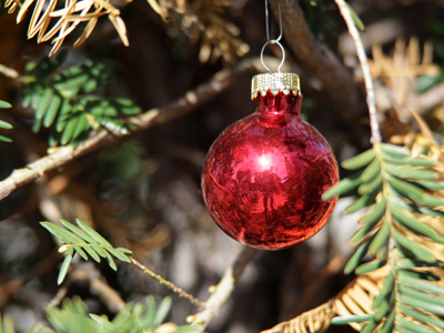 Procrastination or anticipation?