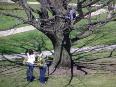 `Okay, he said he`d give you two more days to turn in your research paper.  Will you please come down now?`