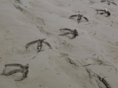 One if by land . . . 