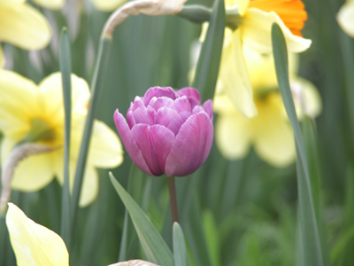 You are unique and beautiful.