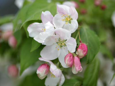 And windy!  I had to stand and wait for the trees to stop moving.