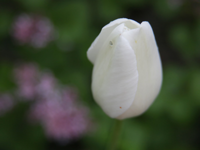 Morning in Newcom Park.