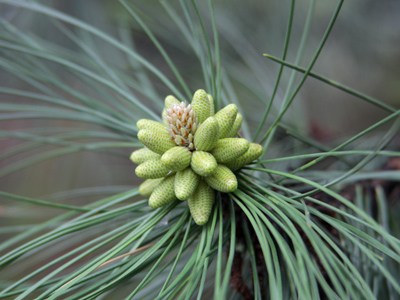 I love a good fireworks show.