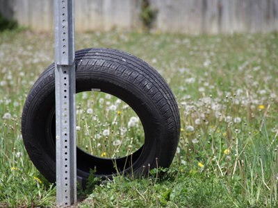 Fortunately, it draws attention away from the weeds.