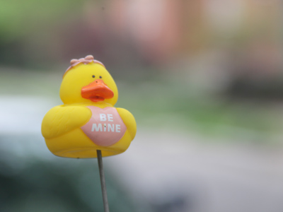 I thought this might quack you up.