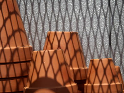 Spiderman visits the flower shop.