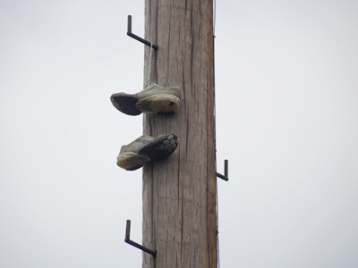 Nice toss, actually.