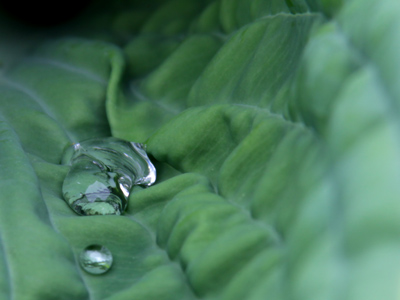 Except for permanence, it has all the characteristics of a diamond.