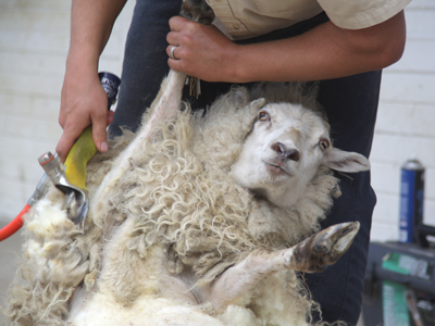 `Hey -- that tickles!`